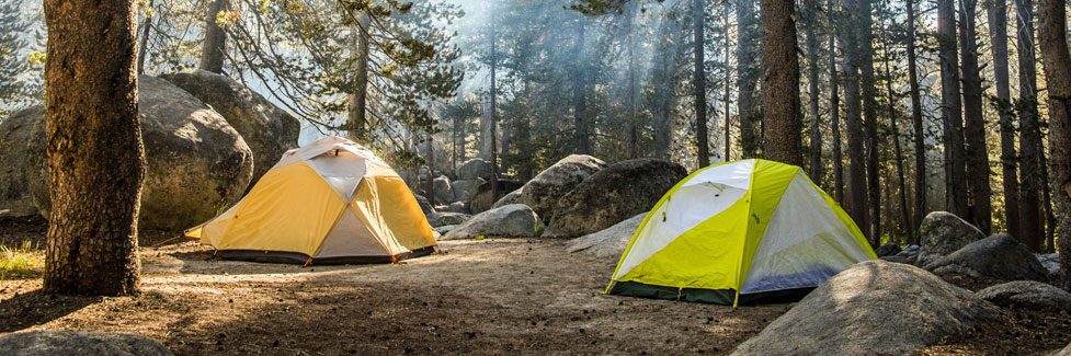 tents in a forest