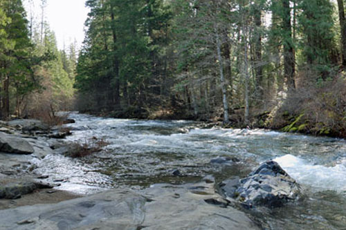 Cosumnes River