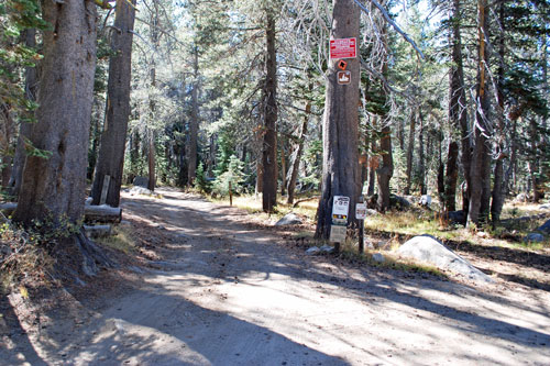 Deer Valley OHV Route, Carson Pass, CA