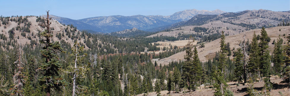 Carson Pass area,  California