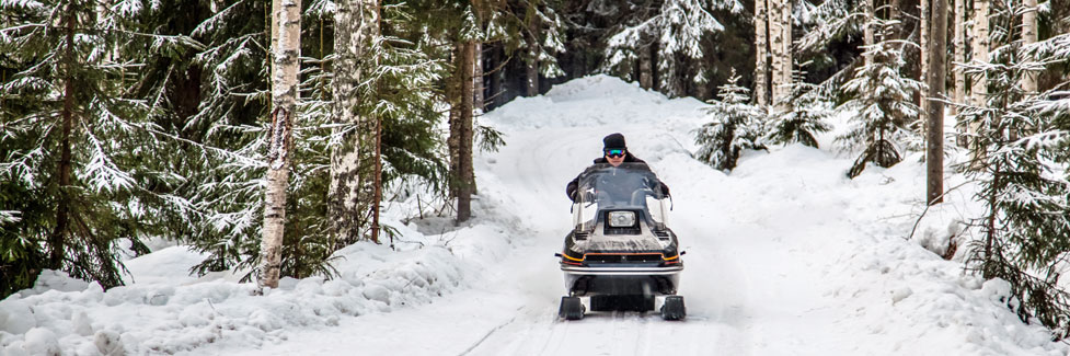 snowmobile in woods, California