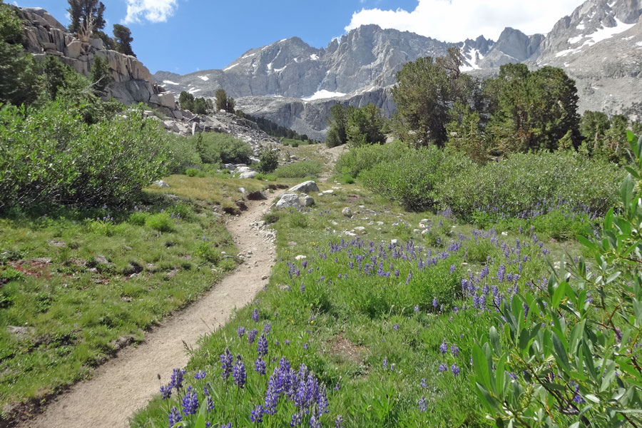 trail in Kings Canyon National Park, CA