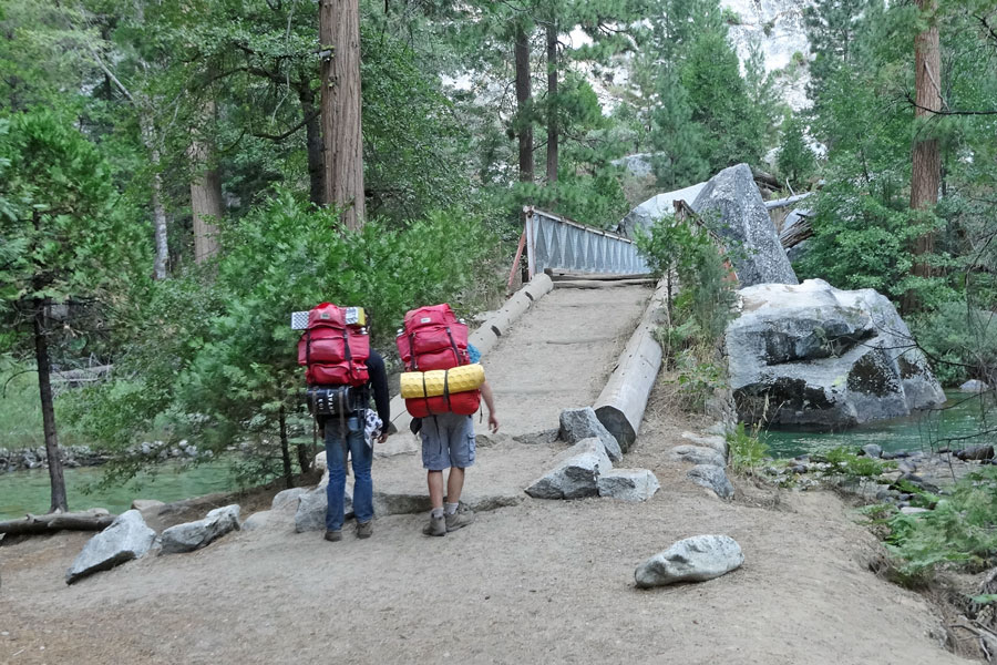 Back[ackears in King Canyon National Park, CA